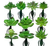 Woohome 10 Pz Plantas Suculentas Artificiales, Artificiales Plantas Suculentas Planta Artificial Decorativa Plantas para Decoraciones Paisaje Casa Bricolaje