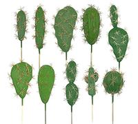 Woohome 10 Pz Suculentas Plantas Artificiales Suculentas Artificiales Cactus de Simulación para Decoraciones Paisaje Casa Bricolaje