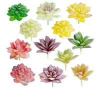Woohome 12 Pz Plantas Suculentas Artificiais, Plástico Plantas Decorativas Suculentas Faux Suculentas, Suculentas Artificiales para Decoraciones Paisaje Casa Bricolaje