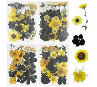 Woohome 120 Pz Naturales Flores Prensadas Secas, Amarillo y Negro Hojas Prensadas Secas Naturales, Flores Secas Reales para Resina Scrapbooking, Joyería de Resina Epoxi