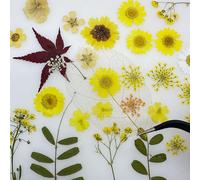 Woohome 137 Pz Naturales Flores Prensadas Secas, Hojas Prensadas Secas Naturales, Flores Secas Reales para Resina Scrapbooking, Joyería de Resina Epoxi