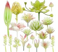 Woohome 20 Pz suculento Falsas Plantas Artificiales, Blanco Surtidas para Decoración del Hogar, Jardín y Bricolaje