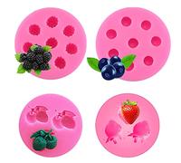 Woohome 4 Pz Moldes de Silicona para Fondant, Moldes Frutas Molde de Silicona Fresa Arándano Frambuesa Litchi Moldes para Fondant para Chocolate, Decoración de Tartas