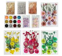 Woohome 64 Pcs Naturales Flores Prensadas Secas, Escamas de Pan de Oro, Lentejuelas, Hojas Prensadas Secas Naturales, Flores Secas Reales para Resina para Resina Scrapbooking, Resina Epoxi