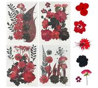 Woohome 64 Pz Naturales Flores Prensadas Secas, Rojo y Negro Hojas Prensadas Secas Naturales, Flores Secas Reales para Resina Scrapbooking, Joyería de Resina Epoxi