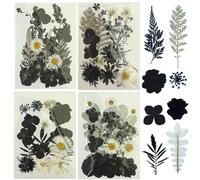 Woohome 64Pz Naturales Flores Prensadas Secas, Blanco o Negro Hojas Prensadas Secas Naturales, Flores Secas Reales para Resina para Resina Scrapbooking, Joyería de Resina Epoxi