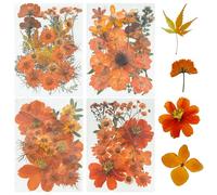 Woohome 85 Pz Naturales Flores Prensadas Secas, Naranja Hojas Prensadas Secas Naturales, Flores Secas Reales para Resina Scrapbooking, Joyería de Resina Epoxi