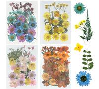 Woohome Flores Prensadas Secas,110 Piezas de Bricolaje Conjunto de Flores secas, Naturales Flor Prensada Mezclada Juego para Resina Scrapbooking Artesanía de Bricolaje, Joyería de Resina Epoxi