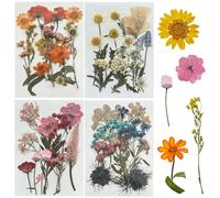 Woohome Flores Prensadas Secas, 60 Piezas de Bricolaje Conjunto de Flores secas, Naturales Flor Prensada Mezclada Juego para Resina Scrapbooking Artesanía de Bricolaje, Joyería de Resina Epoxi