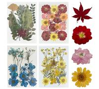 Woohome Flores Prensadas Secas, 78 Piezas de Bricolaje Conjunto de Flores secas, Naturales Flor Prensada Mezclada Juego para Resina Scrapbooking Artesanía de Bricolaje, Joyería de Resina Epoxi