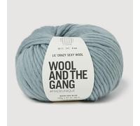 Wool and the Gang Lil' Crazy - Lana sexy, color azul huevo de pato, 100 g, gruesa
