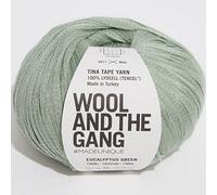 Wool and the Gang, Tina Tape - Hilo verde eucalipto, 100 g, Aran/Worsted