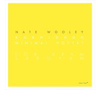Wooley Nate - Knknighgh (Minimal Poetry for Aran Saroyan)