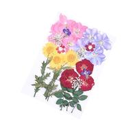 WOONEKY 1hoja Pegatinas Faciales De Flores Prensadas Naturales De Decoración Floral Para Maquillaje y Manualidades Adornos Para Fotos y Eventos