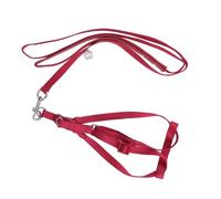 WOONEKY Arnés Ajustable para Pájaros Grande Rojo con Correa Elástica Resistente para Caminar al Aire Accesorios para Loros y Aves Domésticas