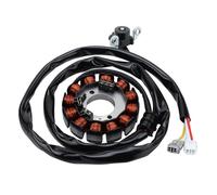 WOOSTAR 12 Bobinas 4 Cable Estator Magneto Reemplazo para 2007-2011 WR450F Motocicleta OEM 5TJ-81410-51-00 5TJ-81410-40-00 5TJ-81410-50-00