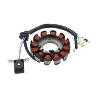 WOOSTAR 12 Bobinas 4 Cable Estator Magneto Reemplazo para 2008-2015 CBF125 Motocicleta OEM 31120-KWF-941