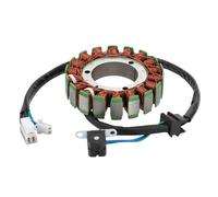 WOOSTAR 18 Bobinas 5 Cable Estator Magneto Reemplazo para Suzuki 2005-2009 VL1500 Boulevard C90 2005-2009 VL1500 Boulevard C90T OEM 32101-10F00 32101-10F01 32101-10F10 32101-10F11 32101-10F12