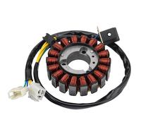 WOOSTAR 18 Bobinas Estator Magneto Reemplazo para Hyosung GV250 GT250 Pocket Bike Cruiser Motorcycle 2009-2018 Motor