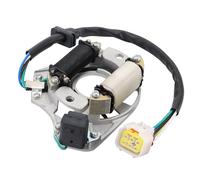 WOOSTAR 2 Bobinas 5 Cable Estator Magnético Encendido Reemplazo para DY100 LF100 H100 LX100