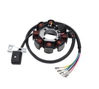 WOOSTAR 8 Bobinas 5 Cable Estator Magneto Reemplazo para Taotao 125cc 150cc 250cc Dirt Pit Bike ATV 4 Wheeler Quad