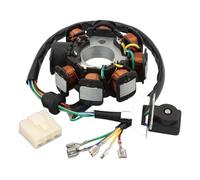 WOOSTAR 8 Bobinas 6 Cable Magneto Estator Reemplazo para 4 Tiempos CG CB 150cc 200cc 250cc 165FMM 166FMM Motor TTR250 Dirt Pit Bike Motocicleta