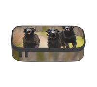WOPQS Trotting Retrievers - Estuche para lápices con revestimiento plano, multifuncional, bolsa de almacenamiento para oficina, gran capacidad, Black, Talla única, Organizador de bolsas