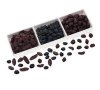 Woration 150 g de fruta seca simulada con tazón, juego de uvas secas artificiales, arándanos y arándanos, modelo alimentario para decoración del hogar, cocina, mesa