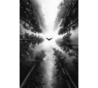 Words that Start With "I": A Poetic Memoir of Becoming Whole (The Luminal Life Collection)