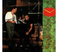 Working Week - Compañeros