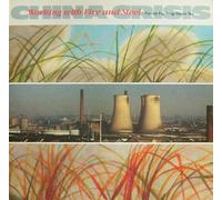 Working with Fire and Steel [Vinyl LP] [Schallplatte]