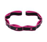 Workout Band - Numbered Elastic Stretching Strap | Working out Resistance Bands | 8-Section For Muscle Strength Training Women Men Home Gym Yoga Pilates Arm Back Leg Full Body Indoors