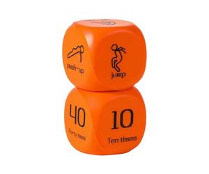 Workout Dice | 6-Sided Sports Game | 2 Piece Workout Dice Game Includes Push Ups, Lunges, and Jump - for Teens Adults Family Home Group Playtime Physical Education Training PE Classes