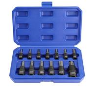WORKPRO Juego de 13 Piezas de Llaves de Vaso Torx, de 1/4", 3/8" y 1/2", Vasos Hexagonales T8-T60, Vaso de Ajuste a Presión con Acero Aleado Cr-V y S2, Estuche de Almacenamiento