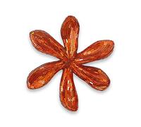 World Art - 5 objetos decorativos de cristal o madera, multicolor, 51 x 48 x S8 cm