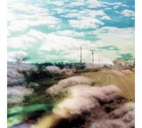 World Is A Beautiful Place & I Am No Longer Afraid To Die - Always Foreign [Vinilo]