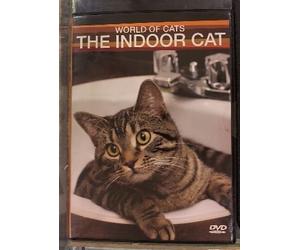 World of Cats, the Indoor Cat, Dvd, 60 Minutes,