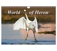 World of Heron (Wall Calendar 2026 DIN A4 landscape), CALVENDO 12 Month Wall Calendar: The most common herons from all around the world.