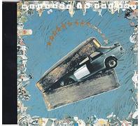World Party - Message in the box [Single-CD]