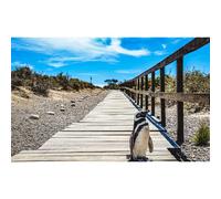 World Traveler's Puzzles - Rompecabezas de 1000 piezas de naturaleza para adultos y familias - Fotografía de vida silvestre de pingüino en Puerto Madryn, Argentina - Idea de regalo única para los