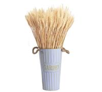 Worldly 100pcs Espigas de Trigo secadas naturalmente Flores secas Naturales, Flores de Trigo secas, para Chimenea, hogar, Cocina, Mesa de Iglesia, Boda,40cm（Blanco）