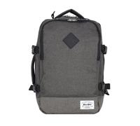 Worldpack Cabin Pro Mochila de día 40 cm Compartimento para el portátil gris