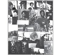World's Experience Orchestra - The Begining Of A New Birth [VINYL] [Vinilo]