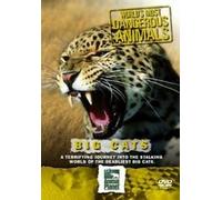 Worlds Most Dangerous Animals - Big Cat [Alemania] [DVD]