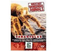 Worlds Most Dangerous Animals-Tarantulas [Alemania] [DVD]
