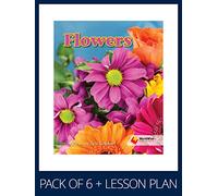 WorldWise Guided Reading Pack Level 1, Pack 2: Student book (x6) and lesson plan (x1) (Flying Start to Literacy WorldWise)