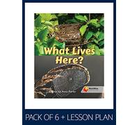 WorldWise Guided Reading Pack Level 1, Pack 4: Student book (x6) and lesson plan (x1) (Flying Start to Literacy WorldWise)