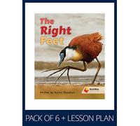 WorldWise Guided Reading Pack Level 11-12, Pack 2: Student book (x6) and lesson plan (x1) (Flying Start to Literacy WorldWise)
