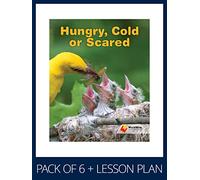 WorldWise Guided Reading Pack Level 13-14, Pack 3: Student book (x6) and lesson plan (x1) (Flying Start to Literacy WorldWise)
