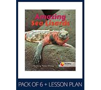 WorldWise Guided Reading Pack Level 15-16, Pack 1: Student book (x6) and lesson plan (x1) (Flying Start to Literacy WorldWise)